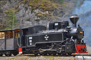 Locomativa 764.421 ELVEŢIA